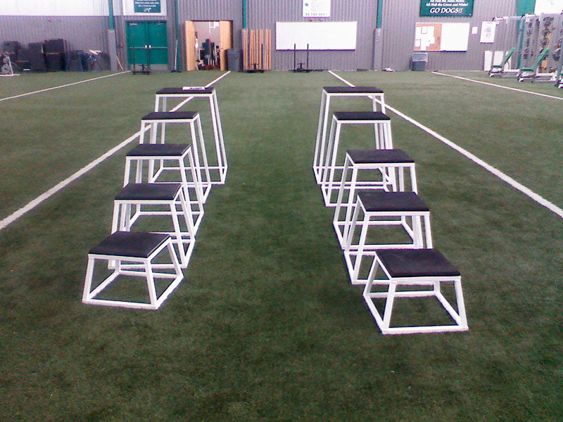 Plyo Box Set by Legend Fitness